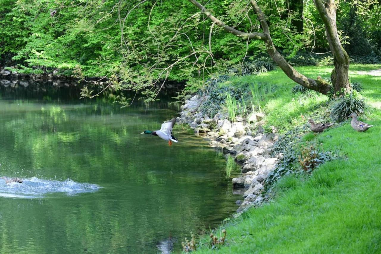 Stagno Lombardo Agriturismo Cascina Farisengo المظهر الخارجي الصورة